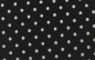 Preview: Baumwoll - Popeline kleine Punkte in weiß auf schwarz