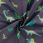 Preview: Raincoat - Regenjacken-Stoff - Dinos