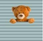 Preview: French Terry Panel Bär, Teddy, Teddybär mit Streifen