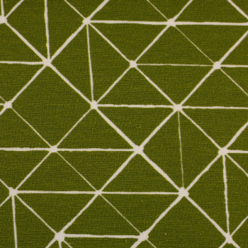 Baumwolljersey Theo - Linien - graphisches Muster grün