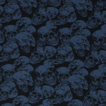 Sweat Michi mit Totenköpfen in blau - angeraut