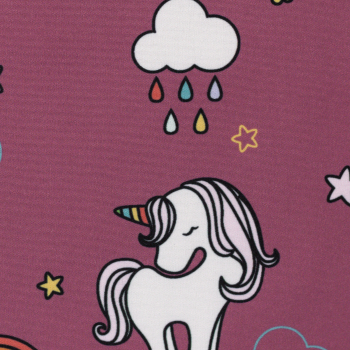 Preview: Softshell Robin Einhörner, Regenbogen und Wolken auf violet