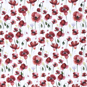 - Kopie - Kopie - Kopie - Kopie