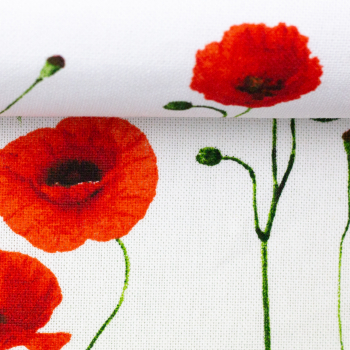 Preview: - Kopie - Kopie - Kopie - Kopie - Kopie