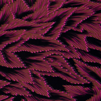 - Kopie - Kopie - Kopie - Kopie - Kopie - Kopie - Kopie - Kopie - Kopie - Kopie - Kopie - Kopie - Kopie - Kopie - Kopie - Kopie - Kopie - Kopie - Kopie - Kopie