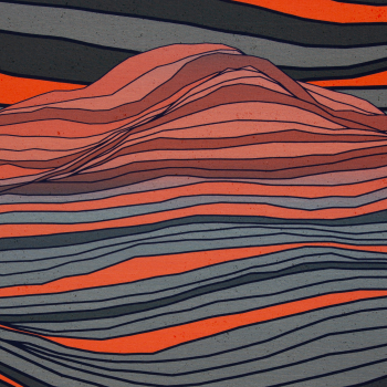 Baumwolljersey In the Dunes by Thorsten Berger - Allover Druck