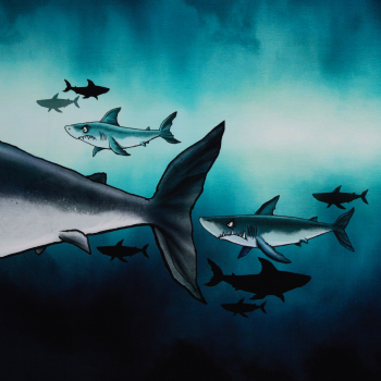 Preview: French Terry  Panel Shark Tank by Thorsten Berger mit großem Hai