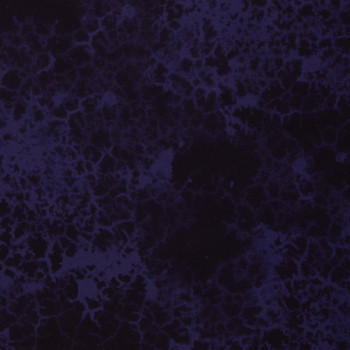 French Terry Deep Water by Thorsten Berger - Kombistoff mit Muster in schwarz - lila