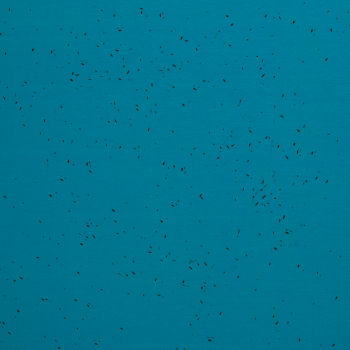 - Kopie - Kopie - Kopie - Kopie - Kopie - Kopie - Kopie - Kopie - Kopie - Kopie