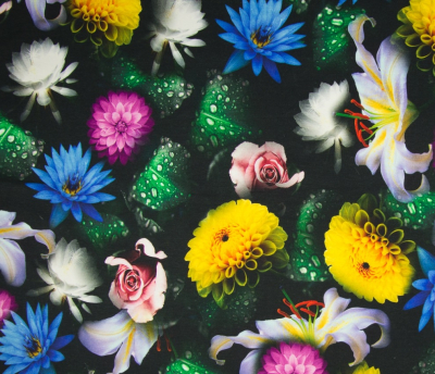 Baumwolljersey große Blüten auf schwarz