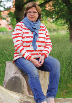 Preview: French Terry Mainz mit Möwen und Streifen in rot - weiß