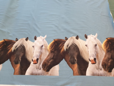 Preview: Baumwolljersey Bordürendruck Pferde hellblau