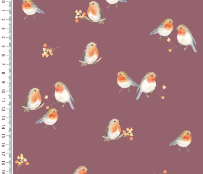 Baumwolljersey Rotkehlchen - kleiner Vogel mit Beeren