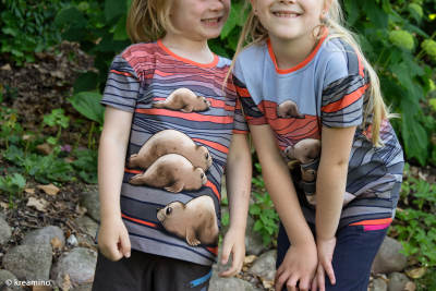 Preview: Baumwolljersey Panel In the Dunes by Thorsten Berger mit süßen Robben
