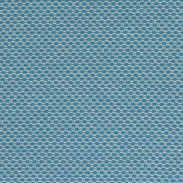 Jacquard - Jersey Leroy in blau
