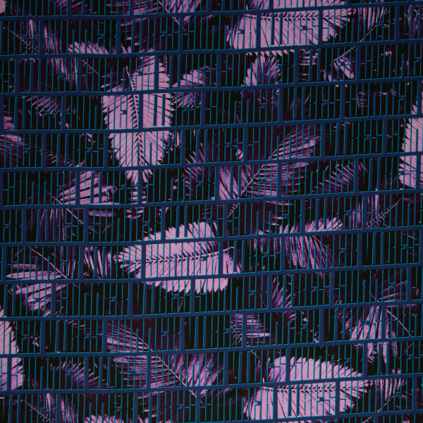 Baumwolljersey Summer Vibes by Thorsten Berger - Allover Schrift Summer Vibes mit Blättern