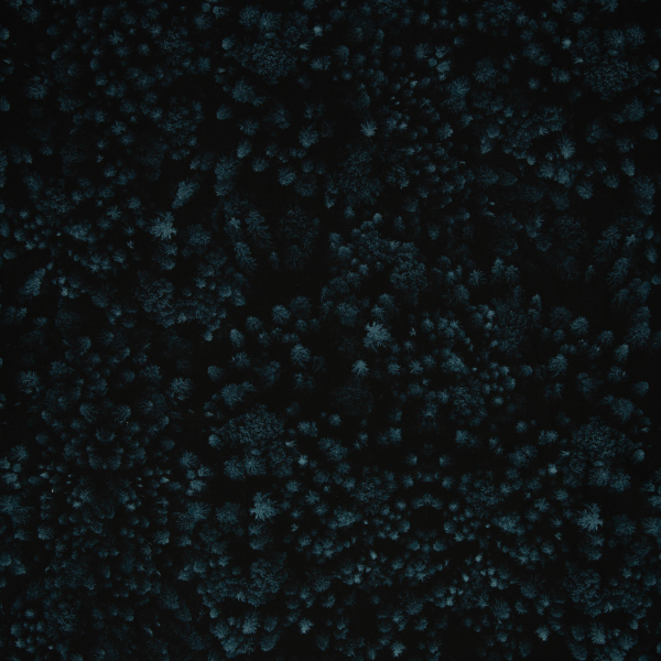 - Kopie - Kopie - Kopie - Kopie - Kopie - Kopie - Kopie - Kopie - Kopie - Kopie