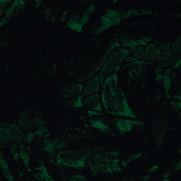 - Kopie - Kopie - Kopie - Kopie - Kopie - Kopie - Kopie - Kopie - Kopie - Kopie - Kopie - Kopie - Kopie - Kopie - Kopie - Kopie - Kopie - Kopie - Kopie - Kopie - Kopie