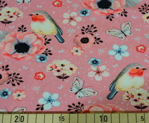 Baumwolljersey Little Bird - Kleiner Vogel - Rotkehlchen - rosa
