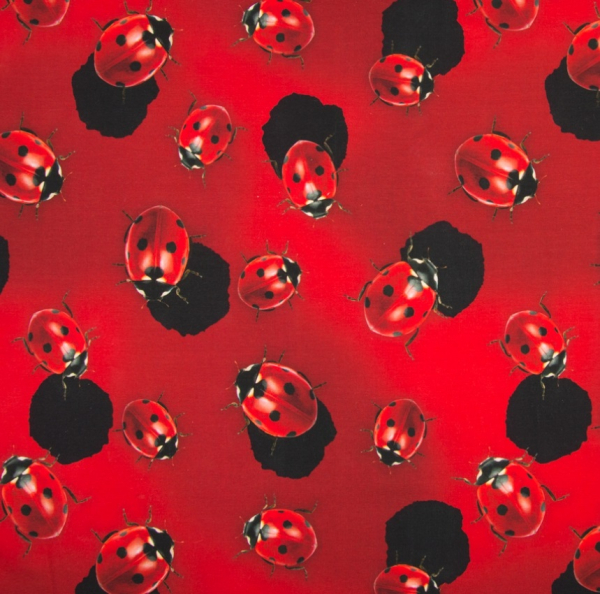 Baumwolljersey Marienkäfer - Glückskäfer - Digitaldruck - Rest 0,65 m