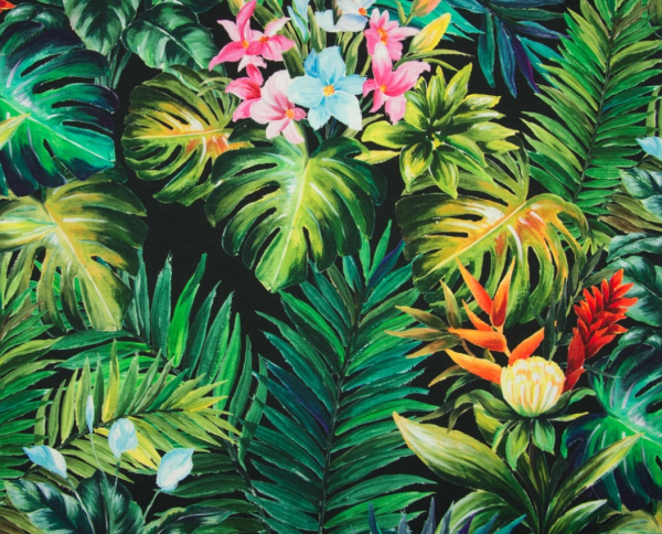 Baumwolljersey große Blätter und Blüten auf schwarz